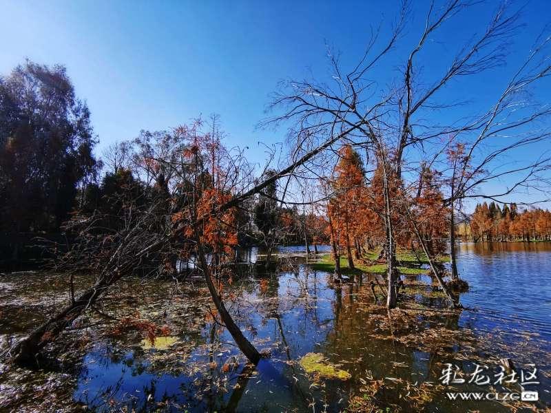 发面酵母要发面多久？-知识星球平台